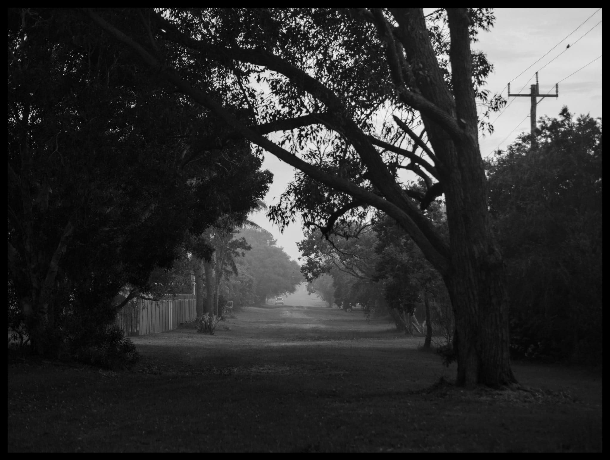 24-#20074: Camp collection 24-#20074: Camp collection