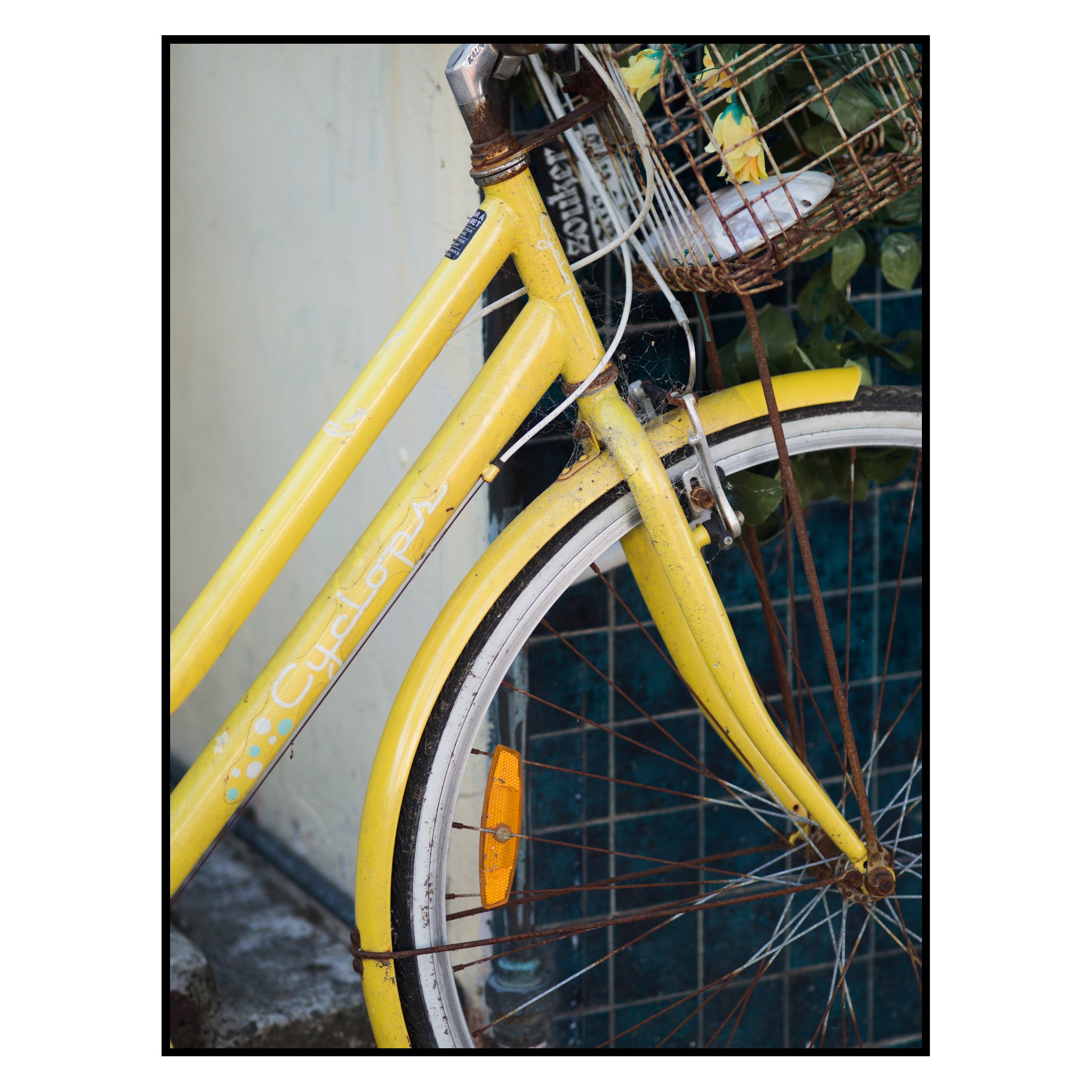 24-#20068