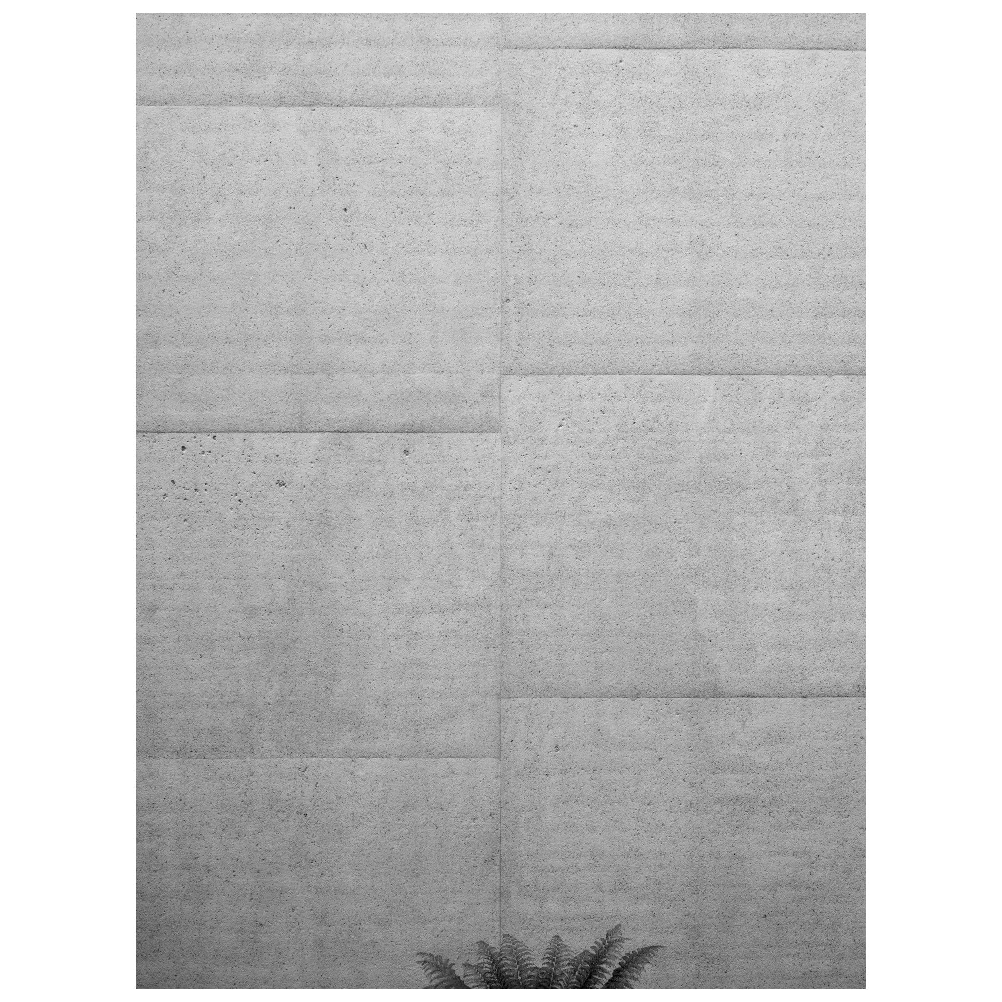 National Gallery Canberra, Jan 2025