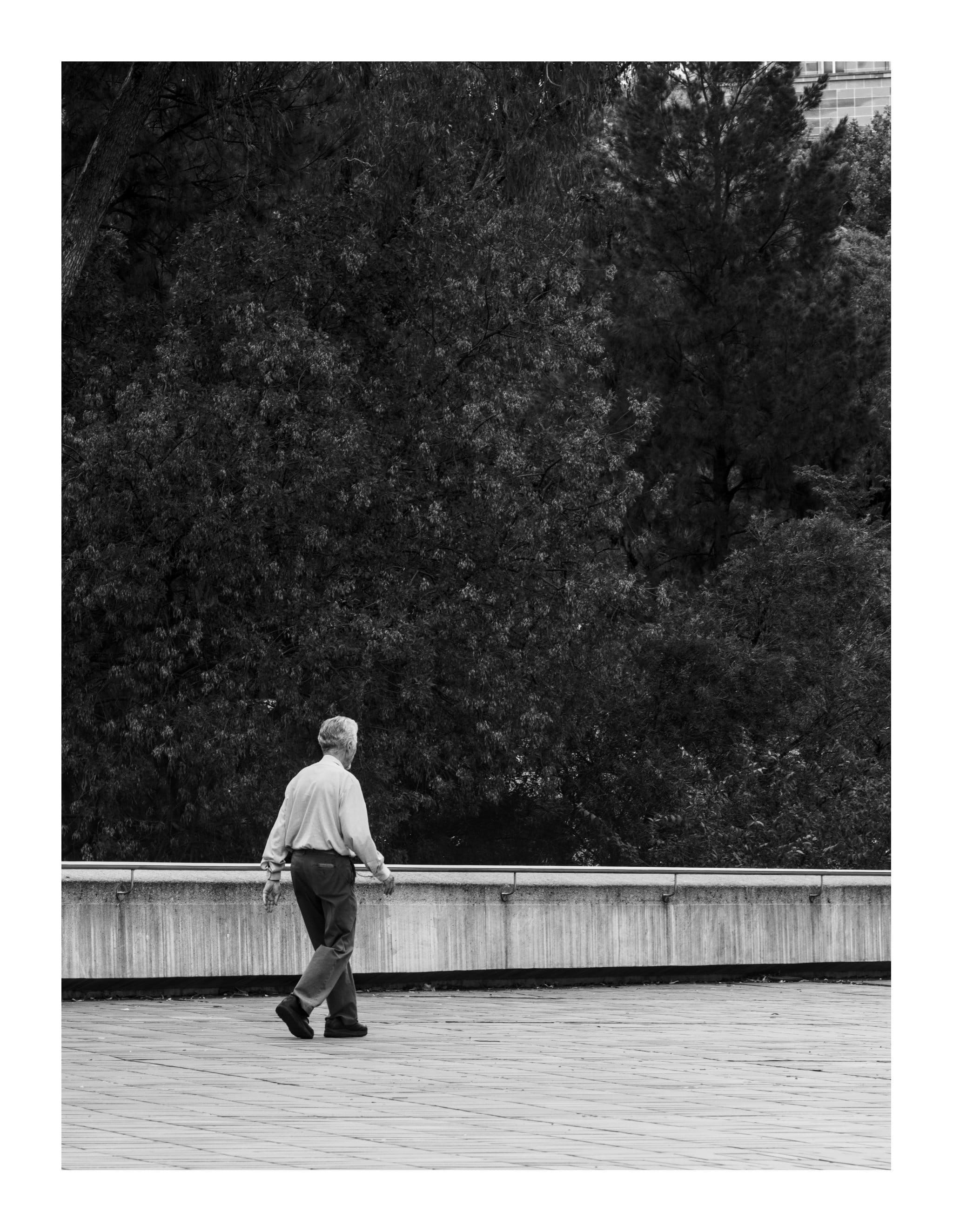 National Portrait Gallery Canberra, Jan 2025