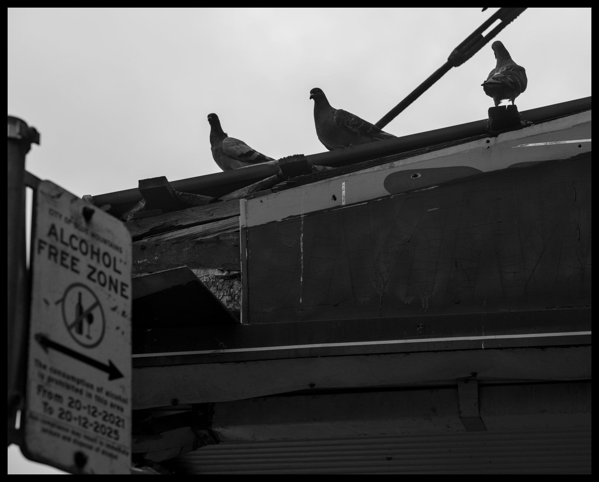 Morning walk: 29 Jan 2025