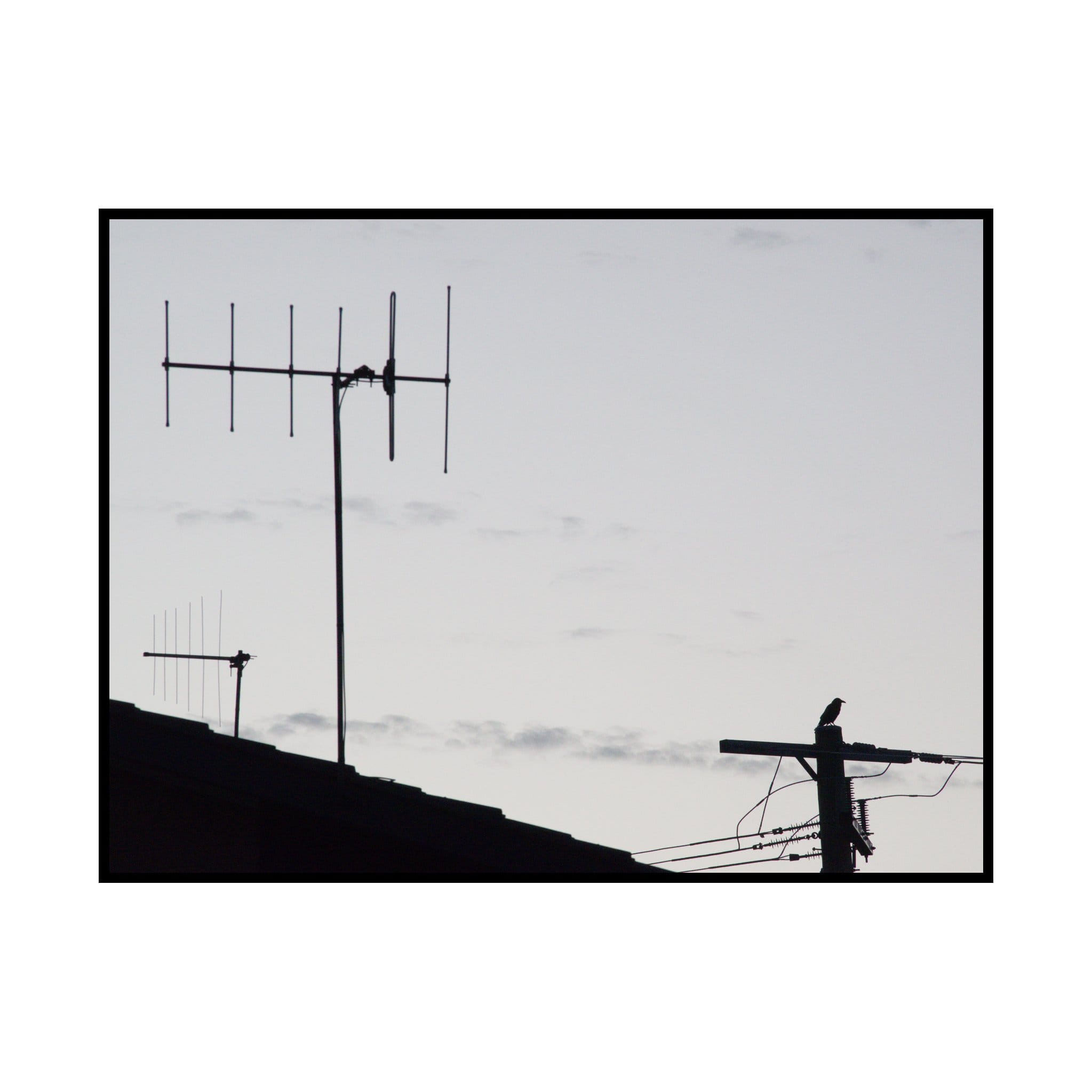 Morning walk: 12 February 2025