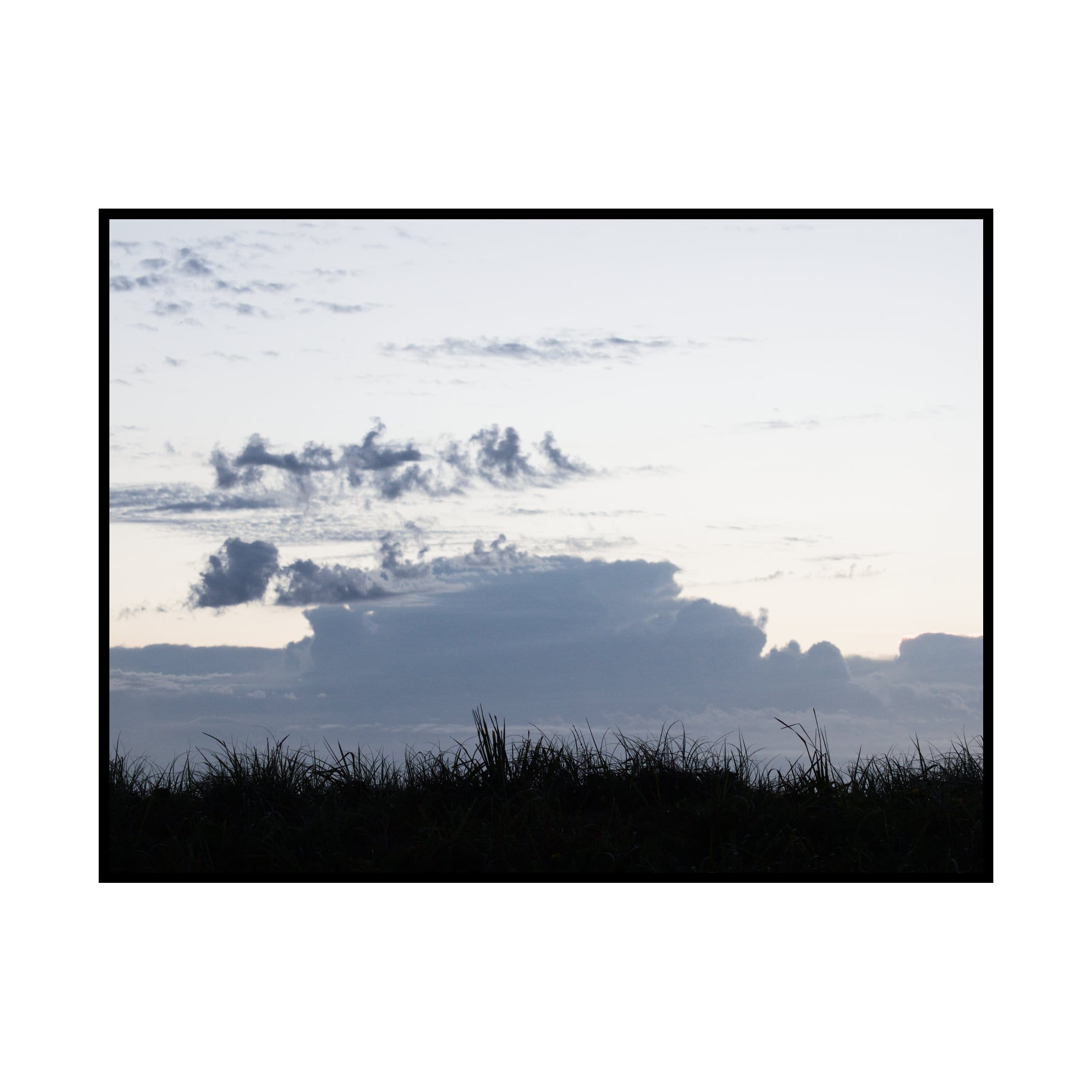 Morning walk: 12 February 2025