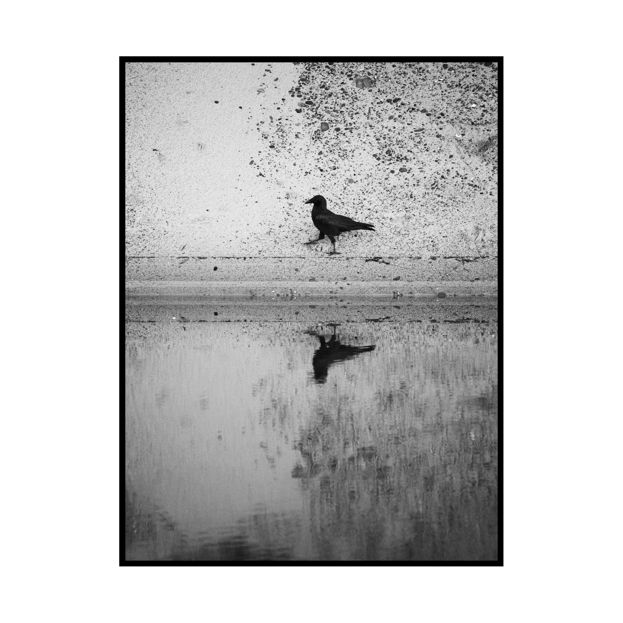 Morning walk: 12 February 2025