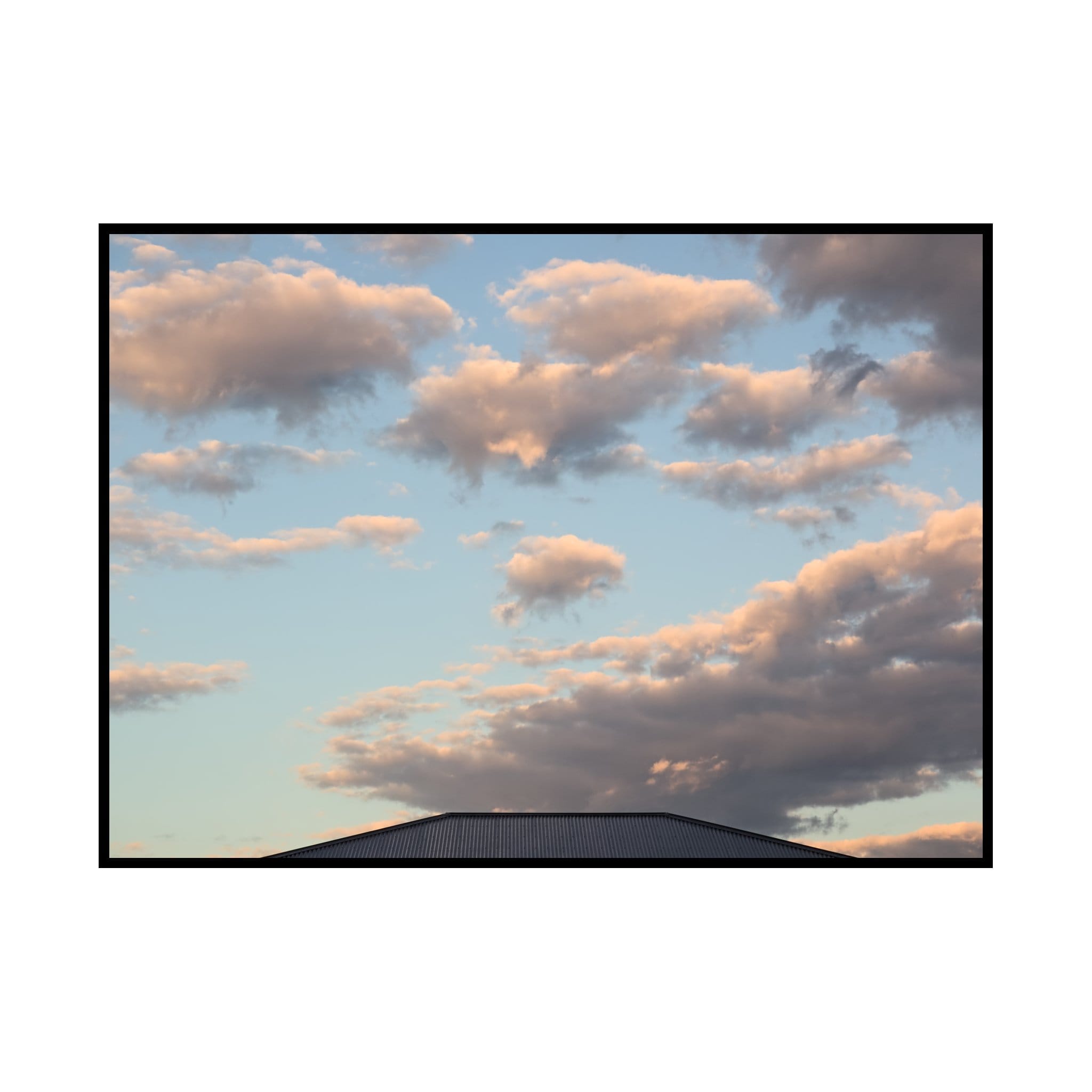 Morning walk: 12 February 2025