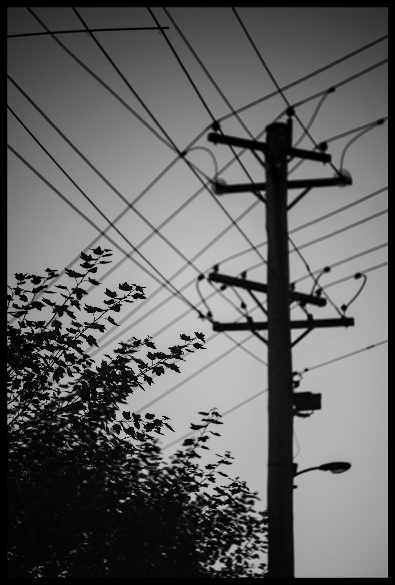 Morning walk: 1 March 2025