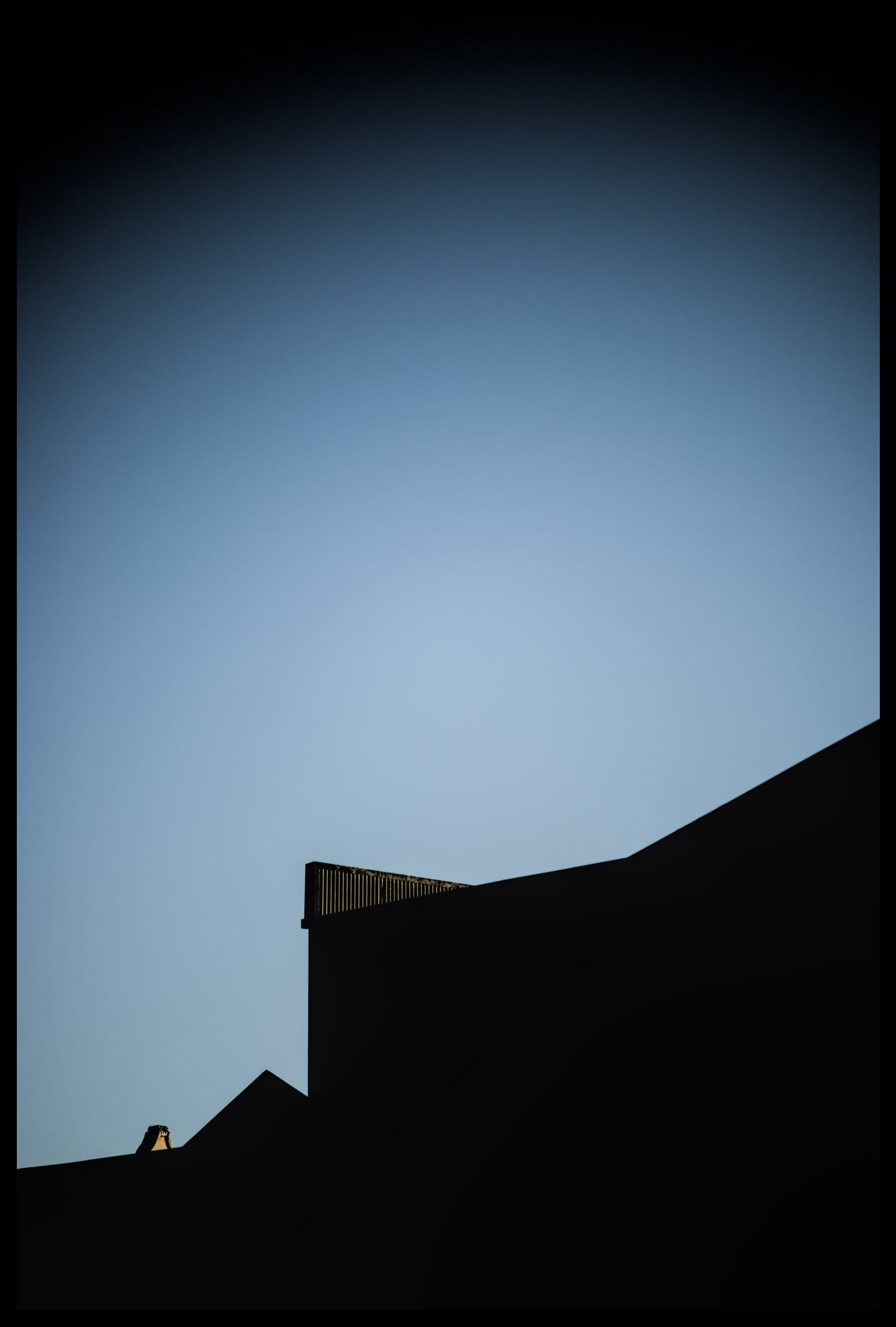 Morning walk: 1 March 2025