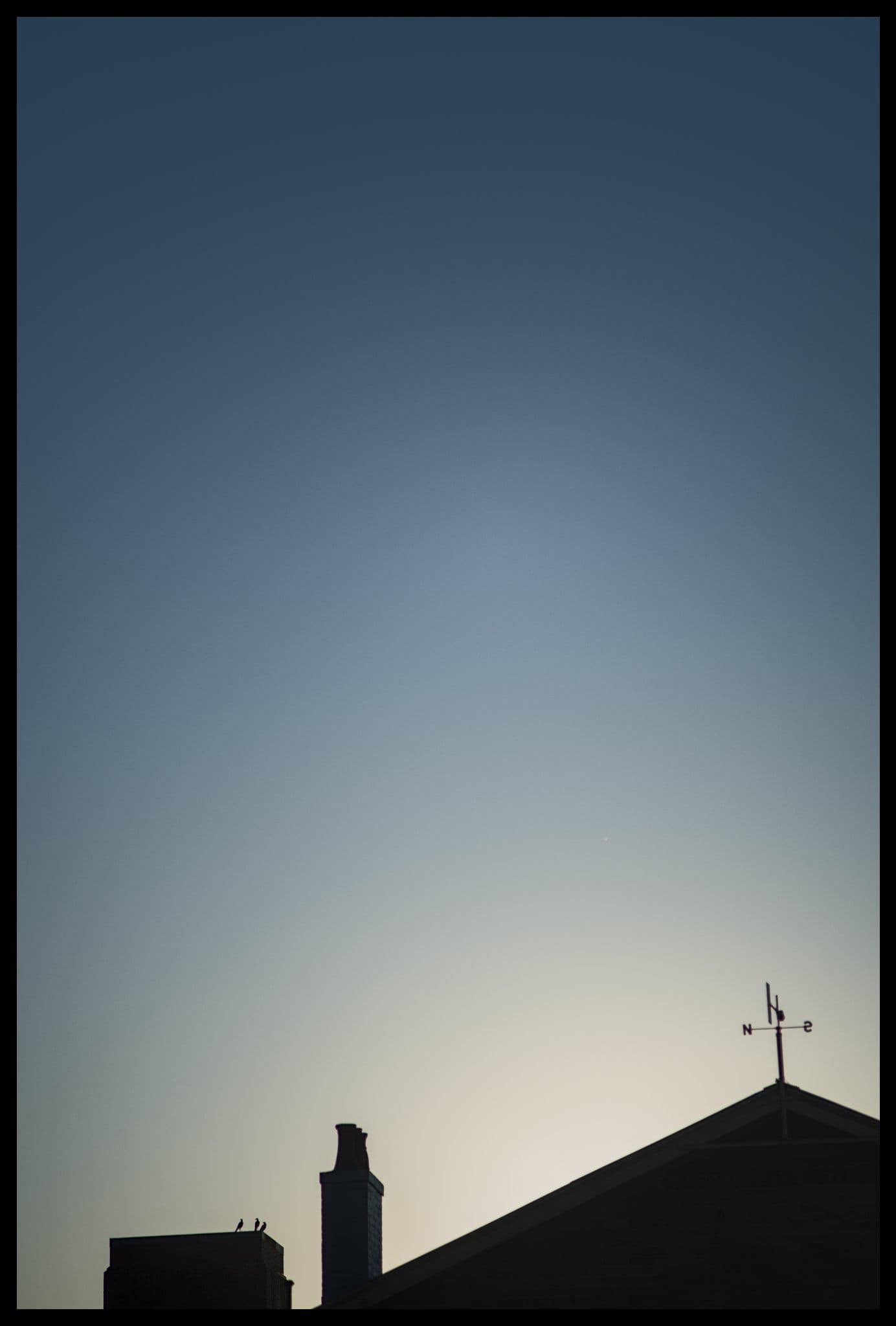 Morning walk: 1 March 2025