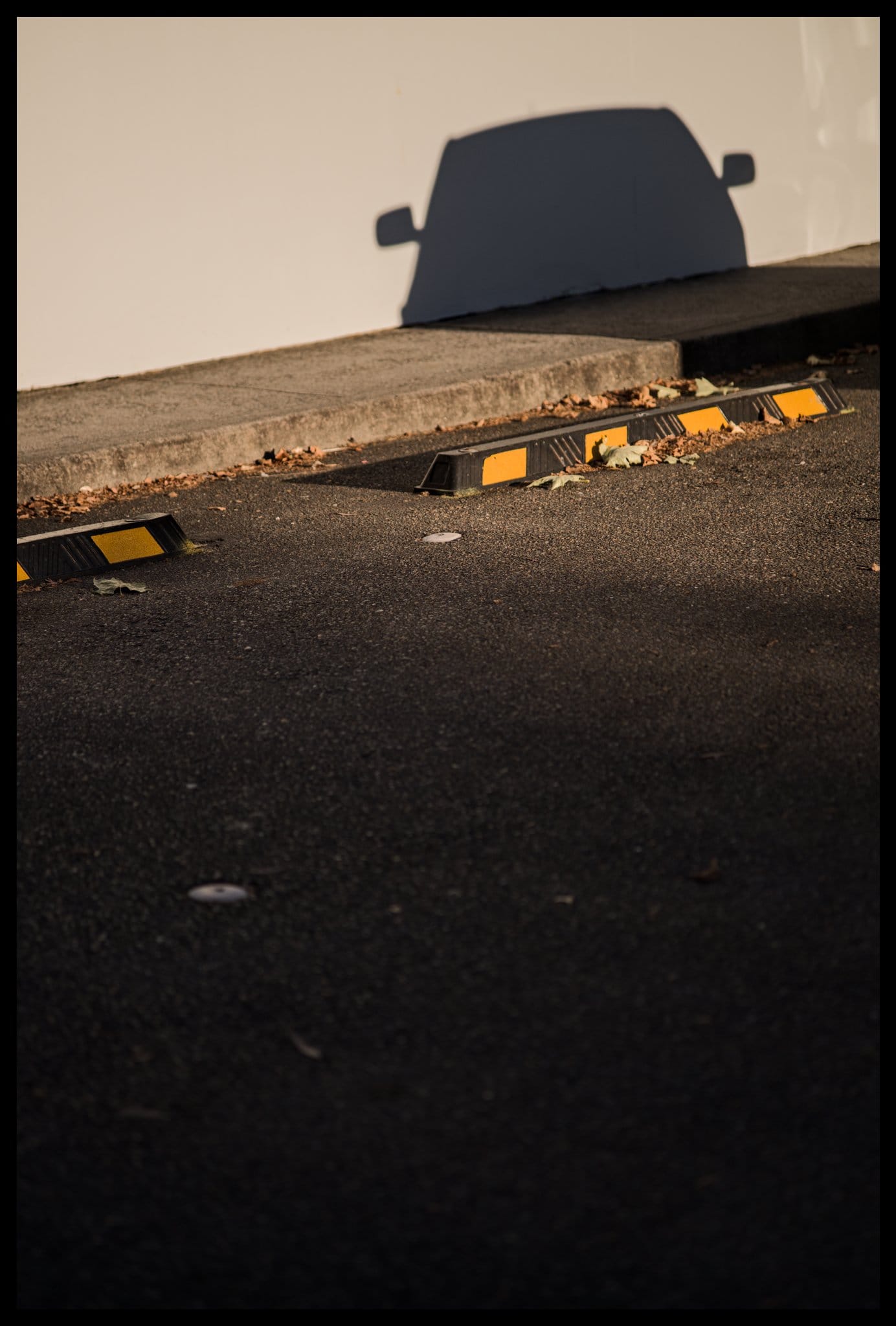 Morning walk: 1 March 2025